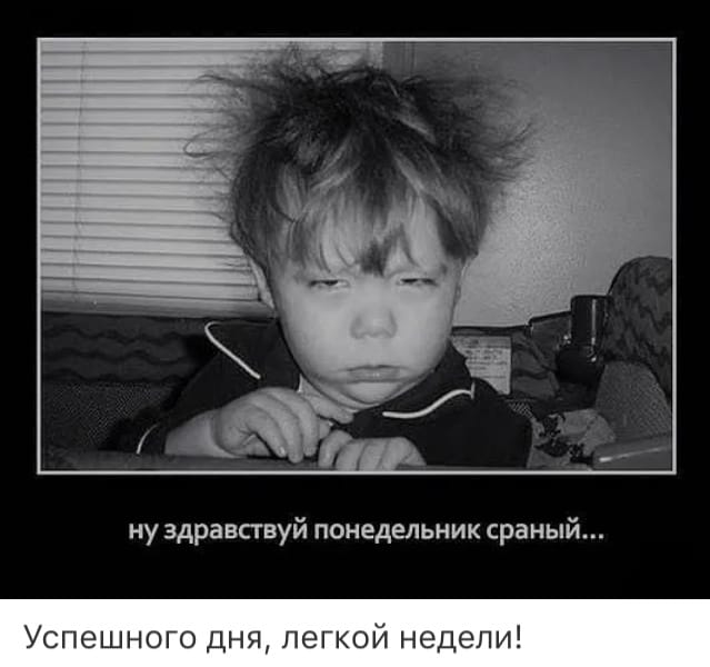 НУ здравствуй ПОНЕДЕЛЬНИК сраный Успешного дня легкой недели