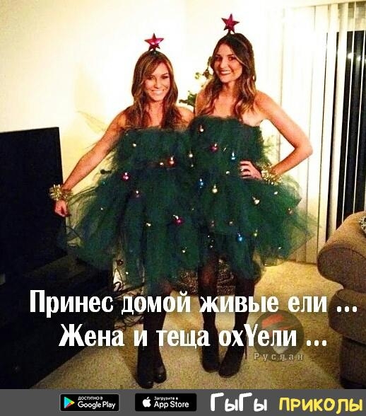 Принес домой живые ели Жена и еща ох ели а аказегш ГыГы