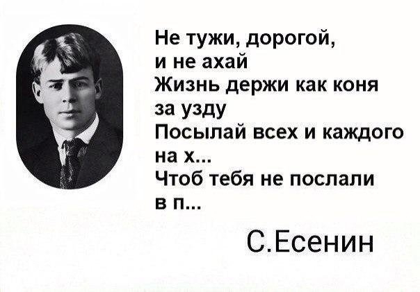 Не тужи дорогой и не ахай Жизнь держи как коня 33 УЗДУ Посыпай всех и каждого на х Чтоб тебя не послали в п СЕсенин