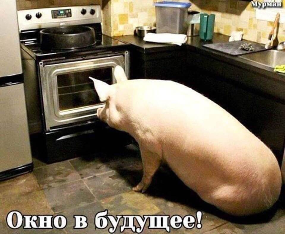 Окні ВёуТг