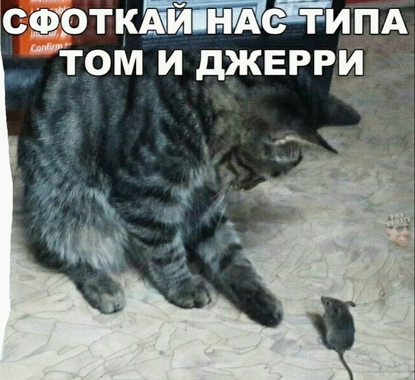 сайта ЧЙГНПАЙТИПА Том и джврри