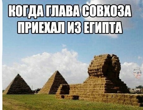 _