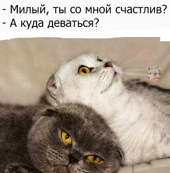 Милый ты со мной счастлив А куда деваться