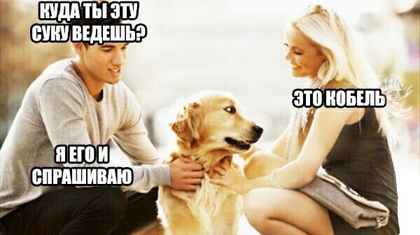 щи ты ати сш ВЕдЕШЬ
