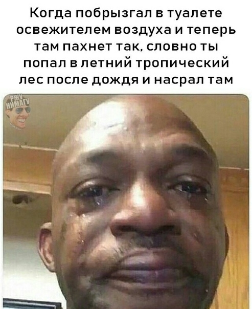 Когда побрызгал в туалете освежитепем воздуха и теперь там пахнет так словно ты попал влетний тропический пес после дождя и насрал там