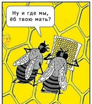 Ну и где мы ёб твою мать