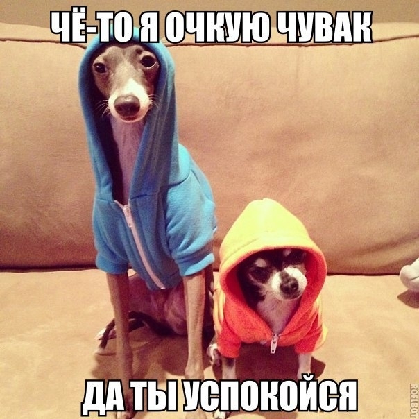 ы ддты ЮШЮИЁП