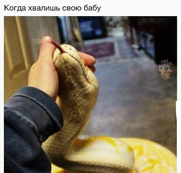 Когда хвалишь свою бабу