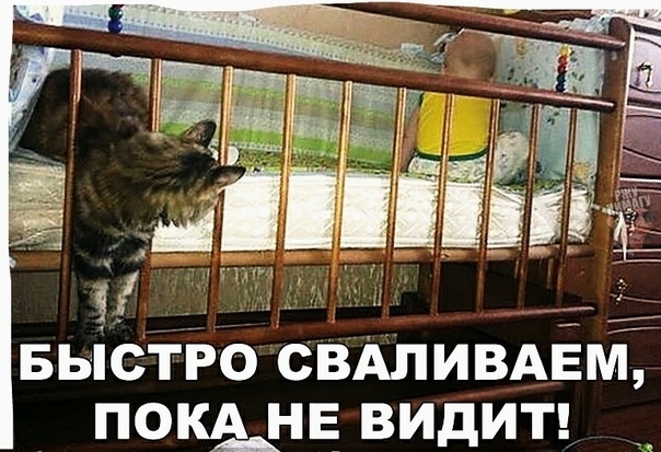 Й ЁЁ БЫСТРО СВАЛИВАЕМ ПОКА НЕ види