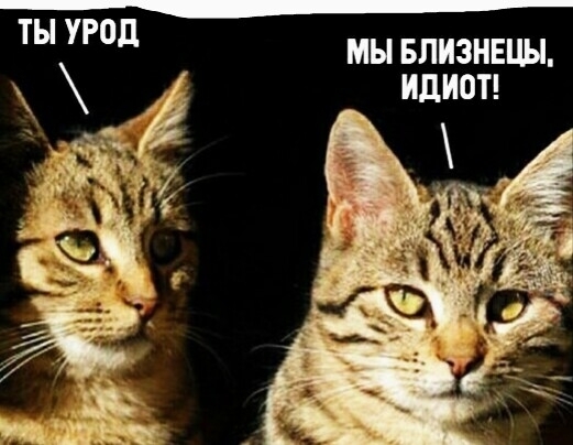 урод мы БЛИЗНЕЦЫ ИДИОТ