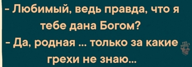 И ведь правда любила. Правда ведь.