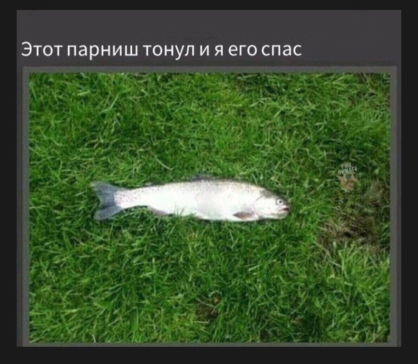 Этот парниш тонул и я его спас