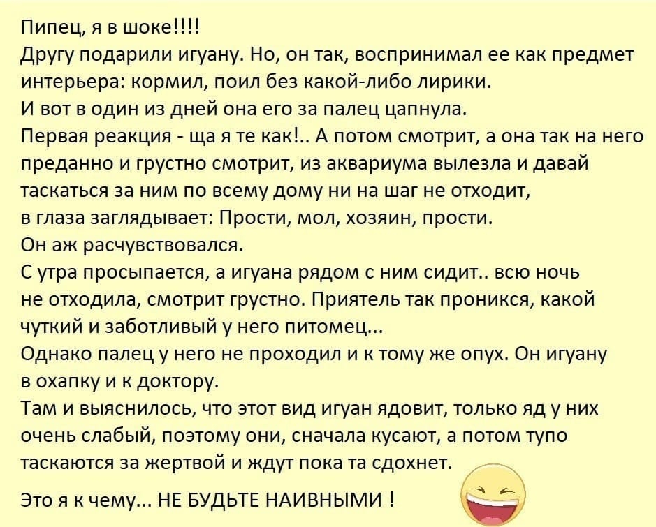 Пипец я в шоке Другу подарили игуану Но он так воспринимал ее как предмет интерьера кормил поил без какойлибо лирики И вот в один из дней она его за палец цапнула Первая реакция ща я те как А потом смотрит а она так на него преданно и грустно смотрит из аквариума вылезла и давай таскаться за ним по всему дому ни на шаг не отходит в глаза заглядывает Прости мол хозяин прости Он аж расчувствовался С