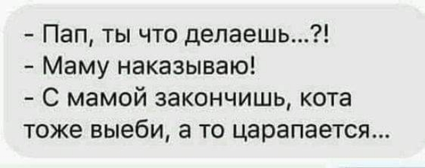 Пап ты что делаешь Маму наказываю С мамой закончишь кота тоже выеби а то царапается