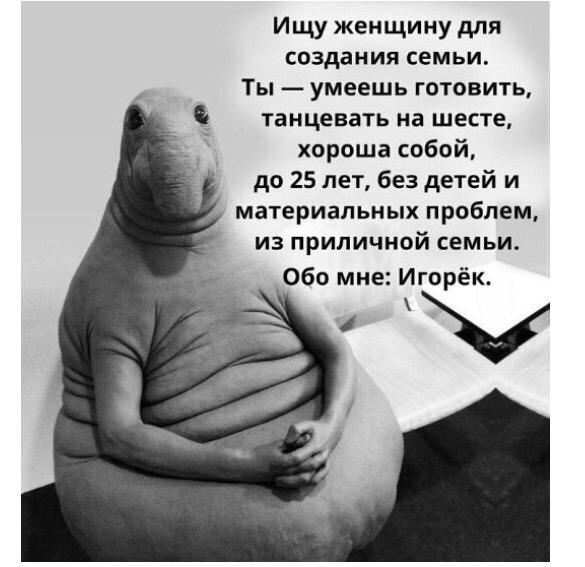 Ищу женщину для создания семьи Ты умеешь готовить танцевать на шесте хороша собой до 25 лет без детей и материальных проблем из приличной семьи Обо мне Игорёк