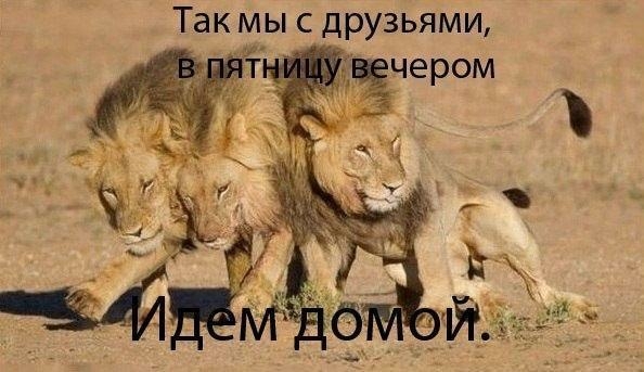 так мы С ДРУЗЬЯМИ