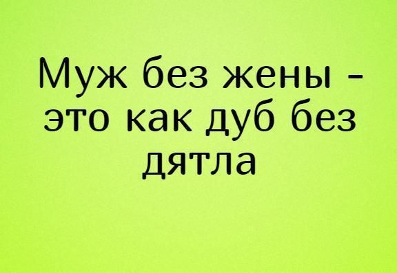 Муж без жены это как Дуб без дятла