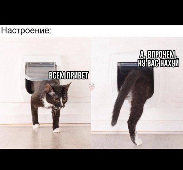 ВПРПЧЕЩ ЦБ НАХНИ Настроение