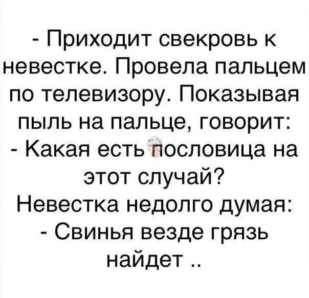 Приходит свекровь к невестке Провела пальцем по телевизору Показывая пыль на пальце говорит Какая есть пословица на этот случай Невестка недолго думая Свинья везде грязь найдет