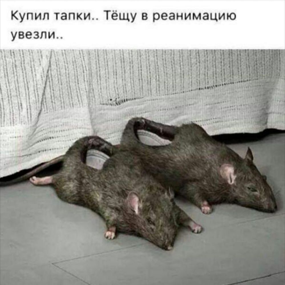 Купил тапки Тёщу в реанимацию увезли