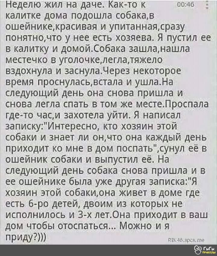 Неделю жил на даче Как то к 0040 калитке дома подошла собакав ошейникекрасивая и упитаннаясразу понятночто у нее есть хозяева Я пустил ее в калитку и домойСобака зашланашла местечко в уголочкелеглатяжело вздохнула и заснулаЧерез некоторое время проснуласьвстала и ушлаНа следующий день она снова пришла и снова легла спать в том же местеЛроспала гдето часи захотела уйти я написал запискуИнтересно кт