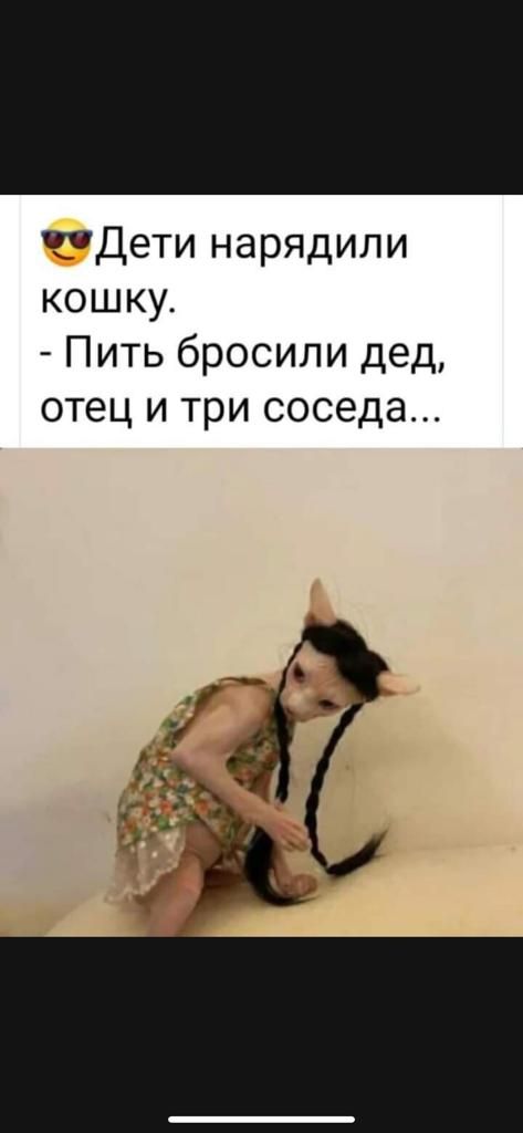 Дети нарядили кошку Пить бросили дед отец и три соседа