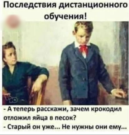 Последствия дистанционного обучения А теперь рассмеши зачем крокодил отложил яйца в песок Старый он уже Не нужны они ему