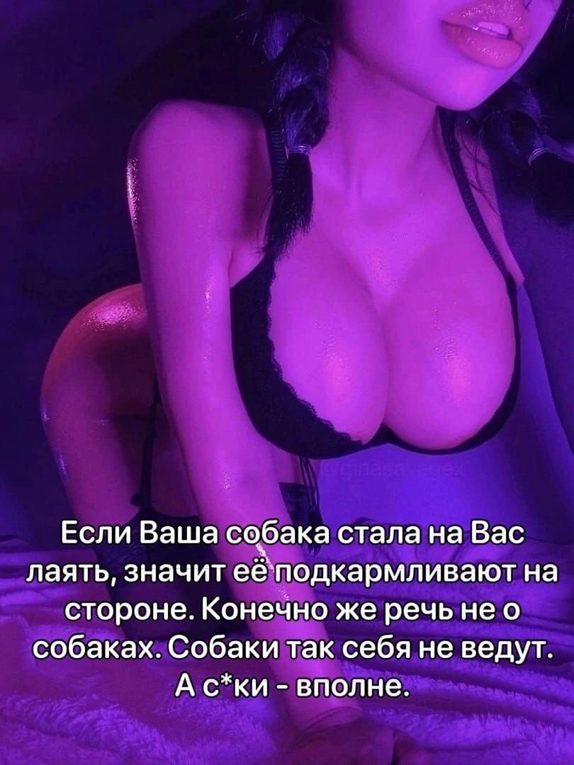 Если Ваша сабака стала на Вас лаять значит её подкармливают на стороне Конечно же речь не о собаках Собаки так себя не ведут А ски вполне