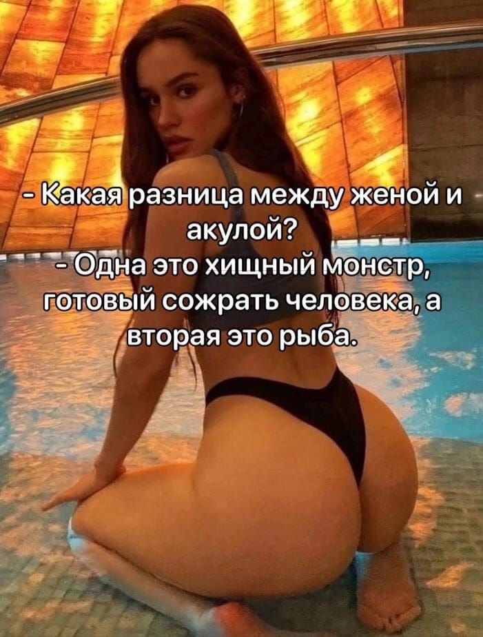 _ і 1 аёразница между женой и акулой ЩЩна это хищный ма от