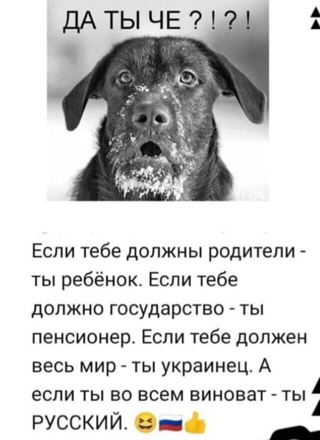 ДАТЫЧЕ Если тебе должны родители ты ребёнок Если тебе должно государство ты пенсионер Если тебе должен весь мир ты украинец А если ты во всем виноват ты 1 РУССКИЙ _ _