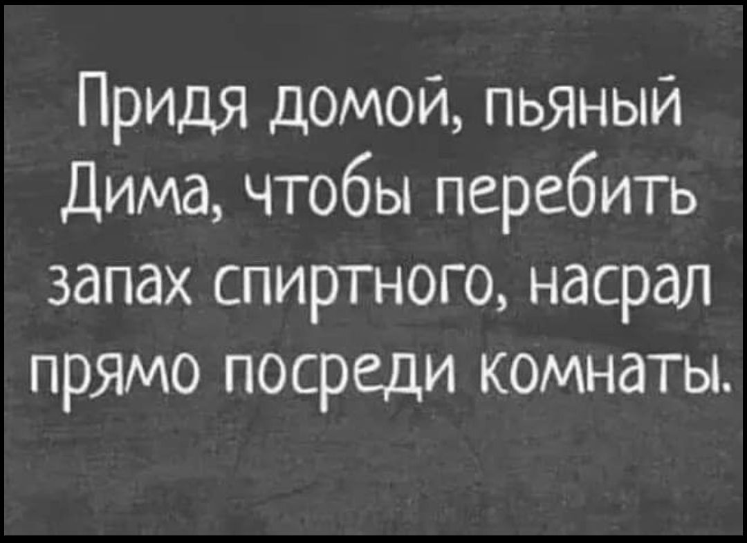 Придя домой пьяный Дима чтобы перебить запах спиртного насрал прямо посреди комнаты