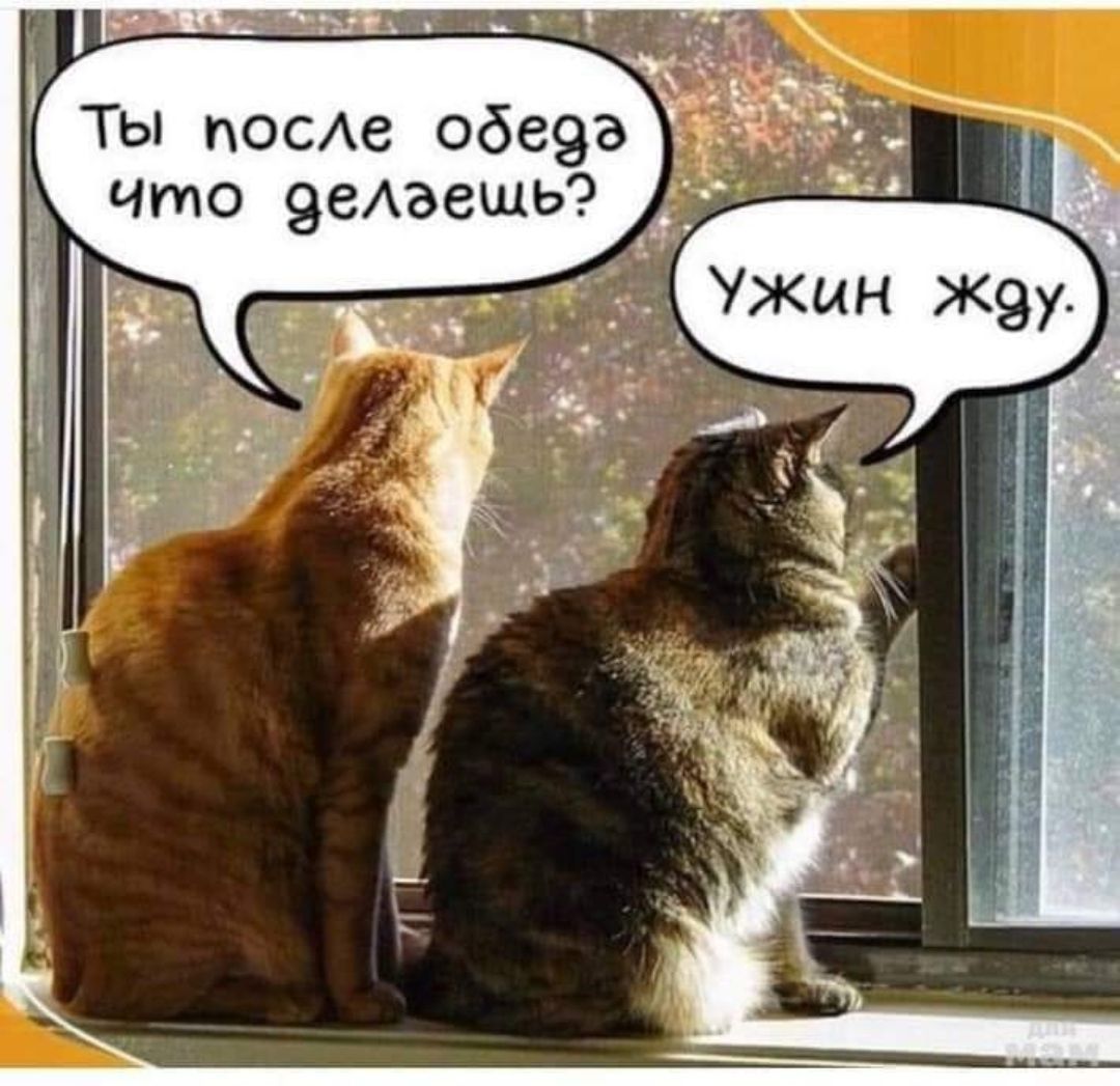 1 Ты поое обеэа что эеАвешьэ