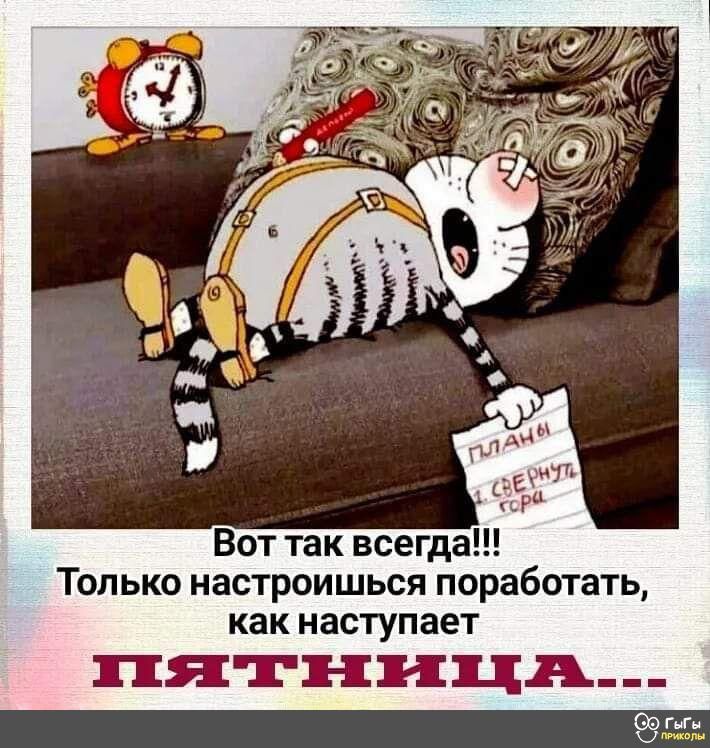 Вот так всегда Только настроишься поработать как наступает пятницн
