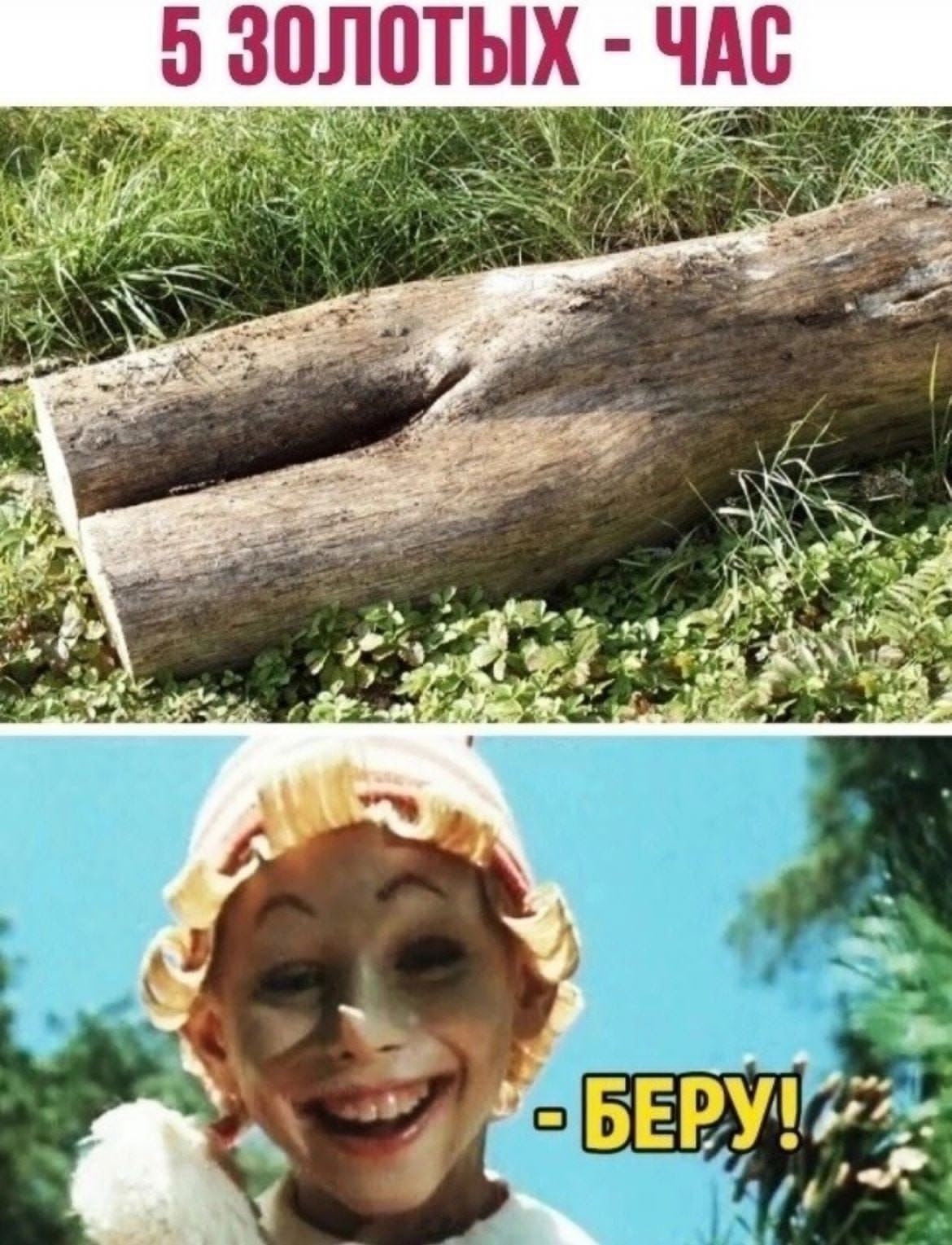 53и ЫЕ ЦШЗ