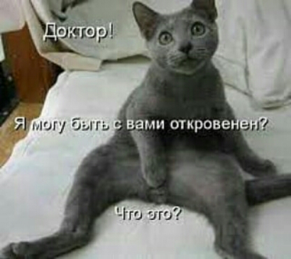 ЧШ иш