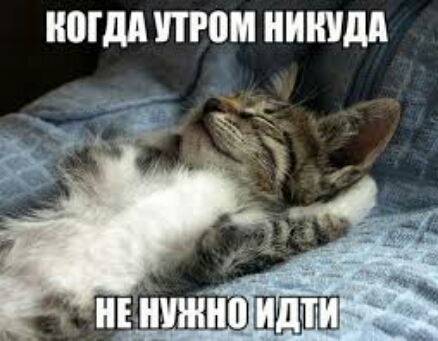 ШШШ том НИНША