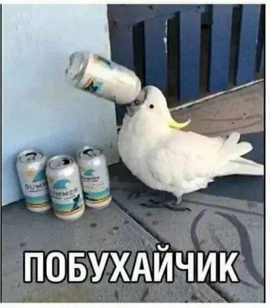 35 ПОБУХАИЧИК