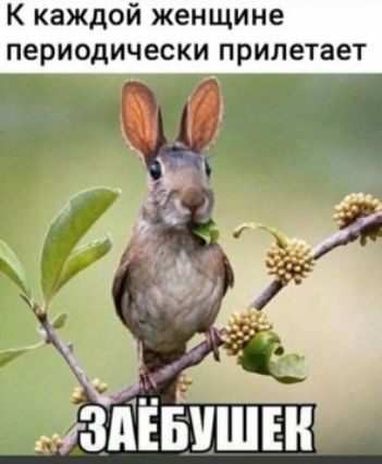 К каждой женщине периодически прилетает издівишгн