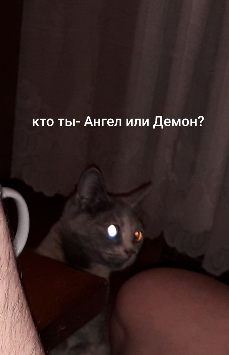 кто ты Ангел или Демон