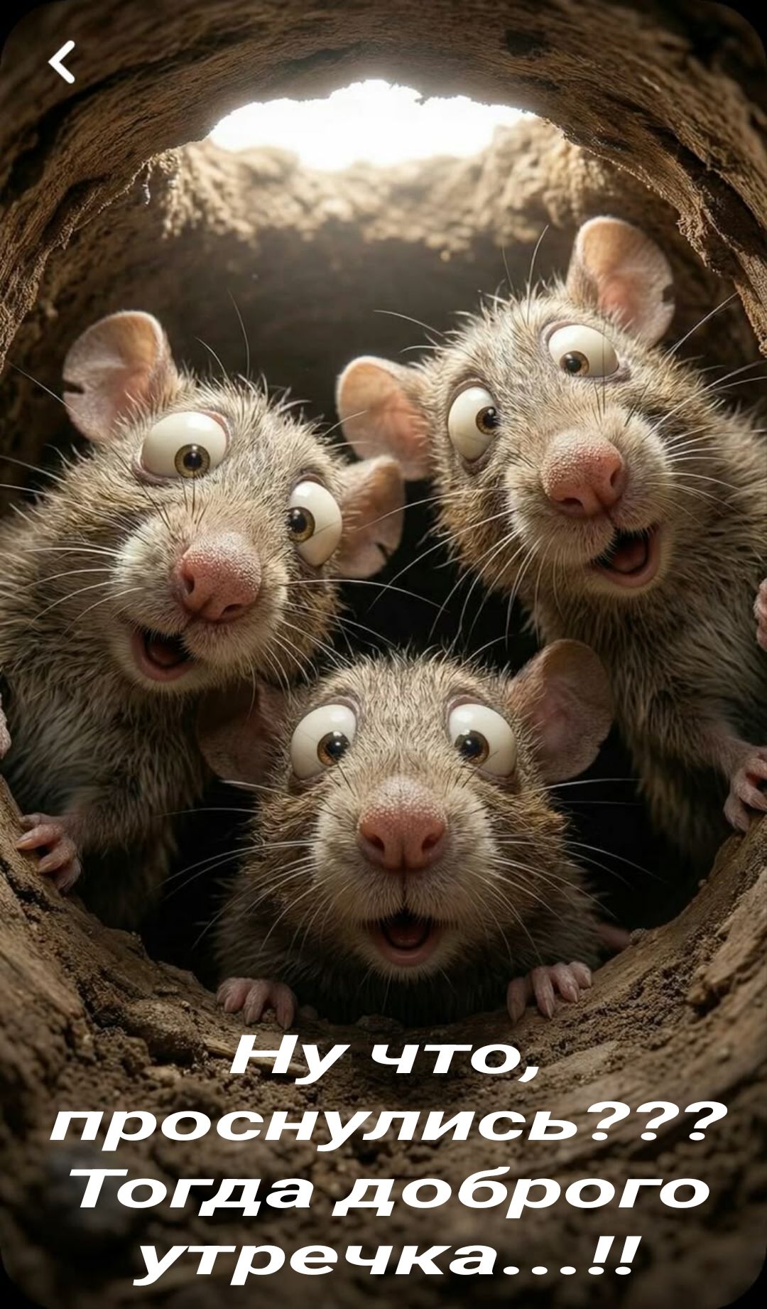 Ну что, проснулись??? Тогда доброго утречка...!!