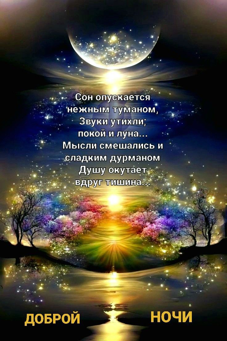 Сон опускается нежным туманом, Звуки утихли; покой и луна... Мысли смешались и сладким дурманом Душу окутает вдруг тишина... ДОБРОЙ НОЧИ