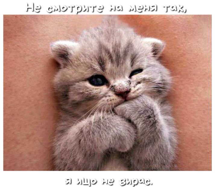 141 лЩу на из