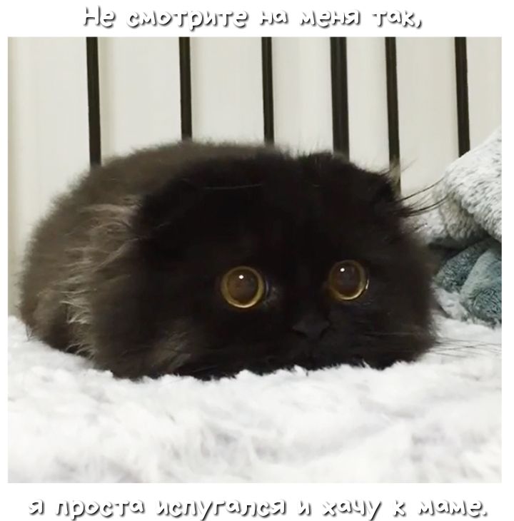 НЭ нЮГрЗГГ З ханы Г іх ПрЭХГд ъгДРГАЛСП 1117 К ЦМЗ