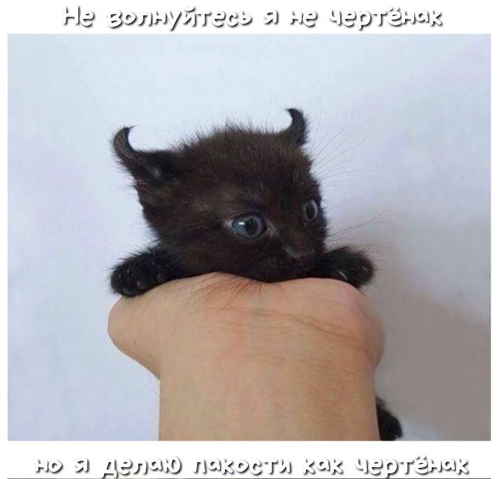 гп г 11 и 1 11 Чд 5 ЖА Д _ _ Аэ _ далм9 и