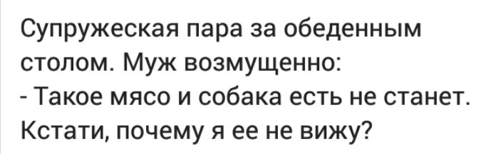 Супружеская пара за обеденным столом Муж возмущенно Такое мясо и собака есть не станет Кстати почему я ее не вижу