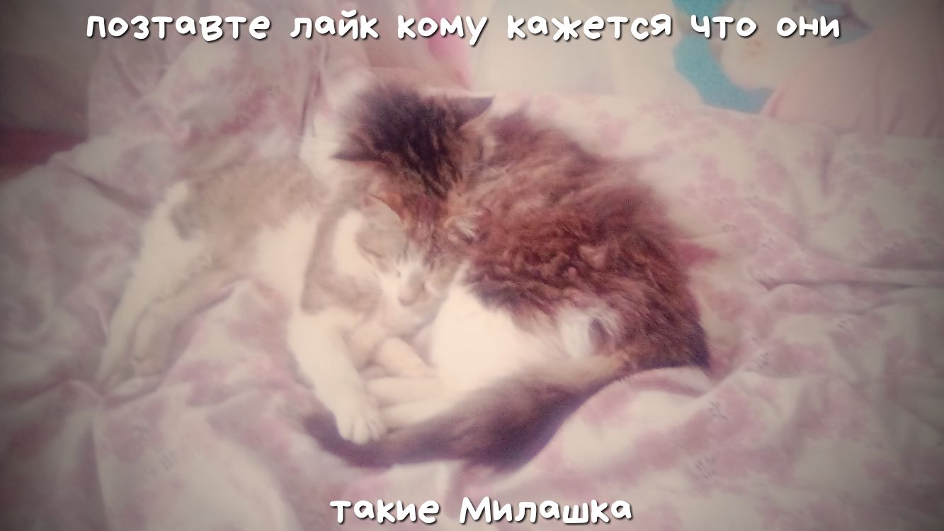 _ 3 _ Г ла Милашки