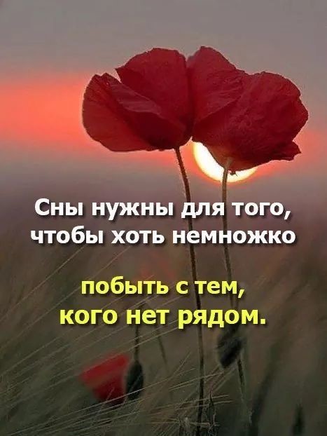 Сны нужны для того чтобы хоть немножко побыть с тем кого нет рядом