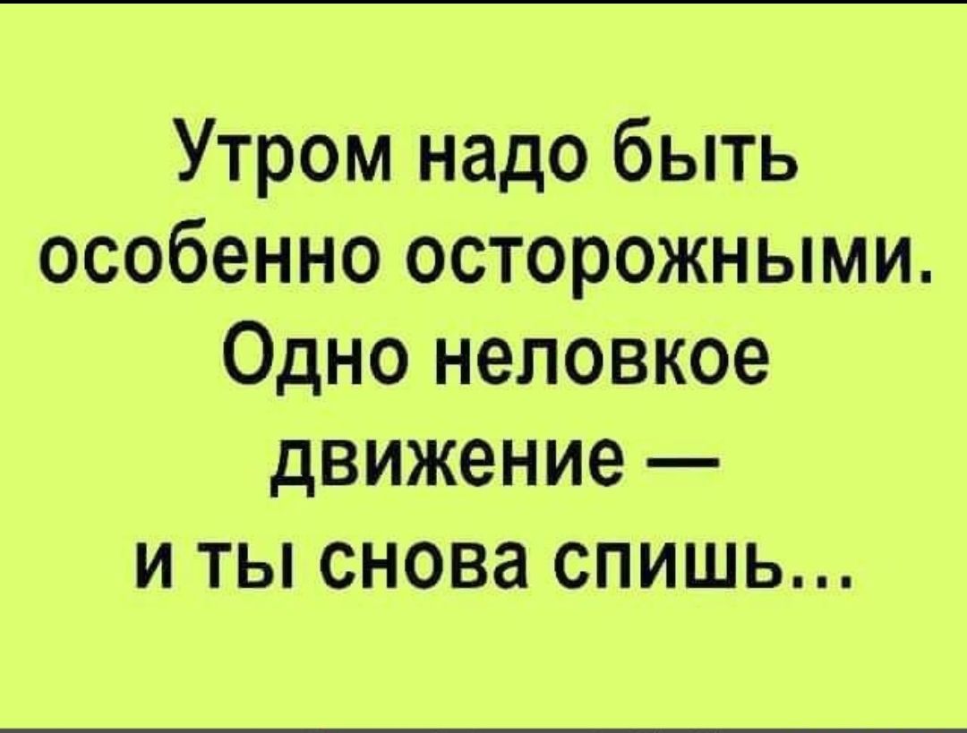 Утром надо быть особенно осторожным одно неловкое движение и ты снова спишь картинки