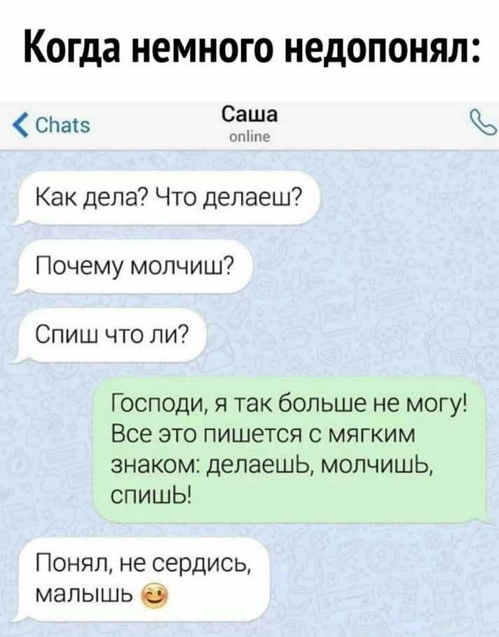 Когда немного недопонял СПатз Саша опіше Как дела Что делаеш Почему молчиш Спиш что ли Господи я так больше не могу Все это пишется с мягким знаком делаешь молчишь спишЬ Понял не сердись малышь