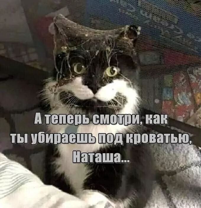 см ты ибипаіёшь под нповагью Наташа